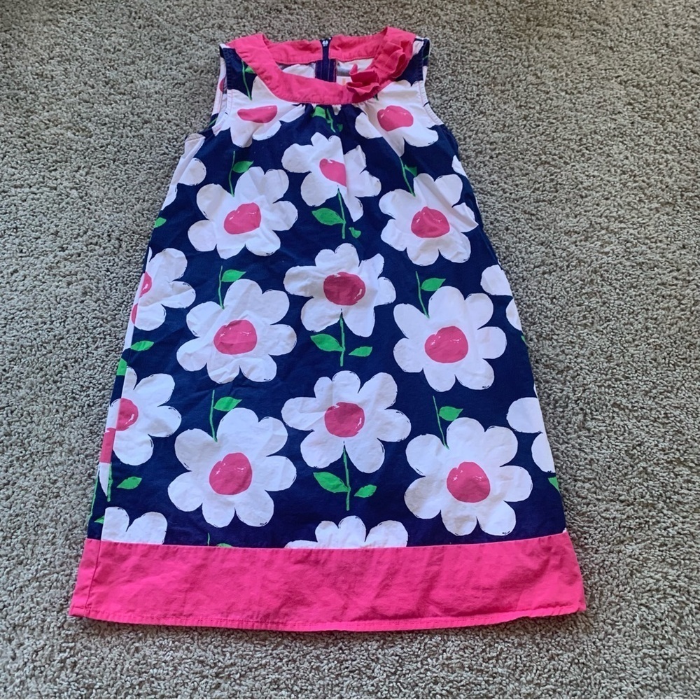 Girls Gymboree Pink Blue Floral Dress Size 10